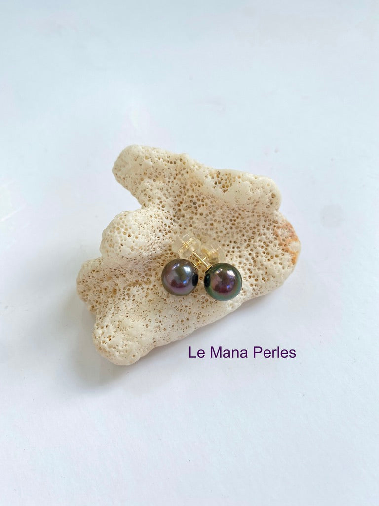 Tahitian Pearl Stud Earring