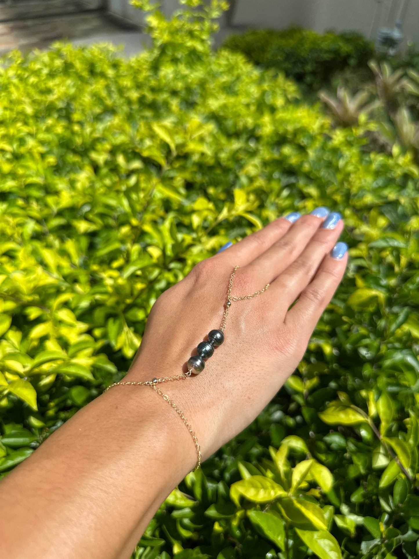 Handchain