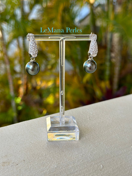 Hoku Nui Tahitian Pearl Earring